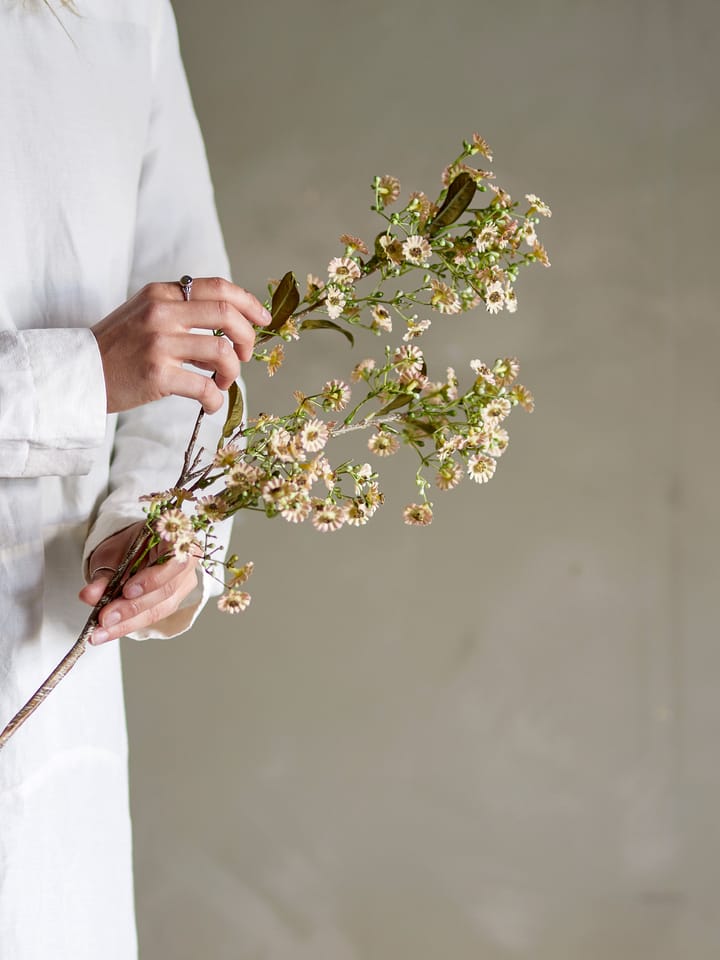 Stem vahakukka, Valkoinen Bloomingville