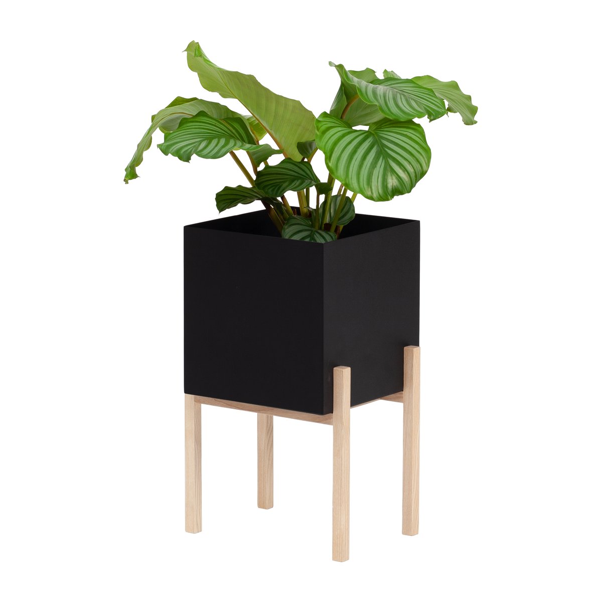 Design House Stockholm Botanic pedestal ruukku Musta-saarni