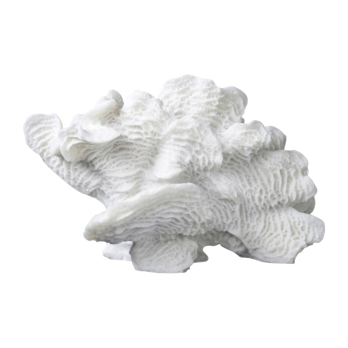 Mette Ditmer Coral fan White