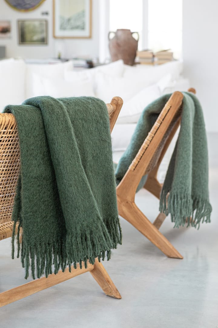 Mohair viltti, Olivine Stackelbergs