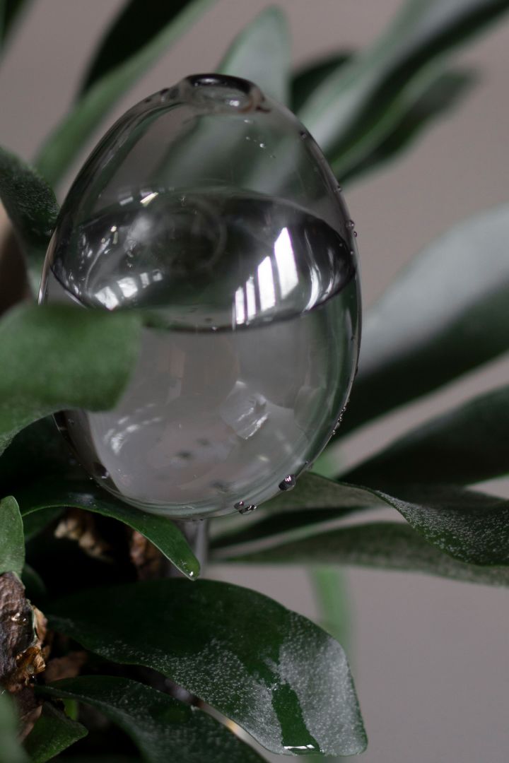 DBKD:n itsekastelevat lasipallot tekevät kasvien kastelemisesta yksinkertaista ja helpottavat jokapäiväistä elämää. 