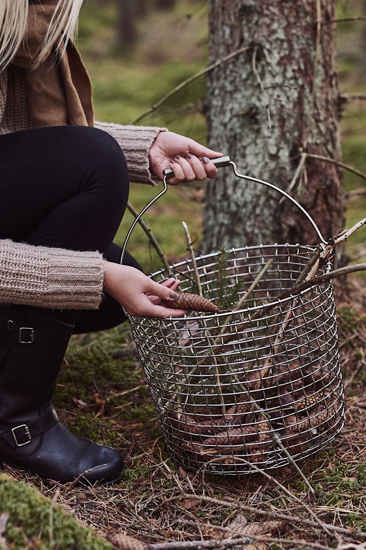 Skandinaavisen elämäntyylin juttuja, joita kannattaa kokeilla tänä talvena - etsi sieniä metsästä Korbon metallikorilla. 